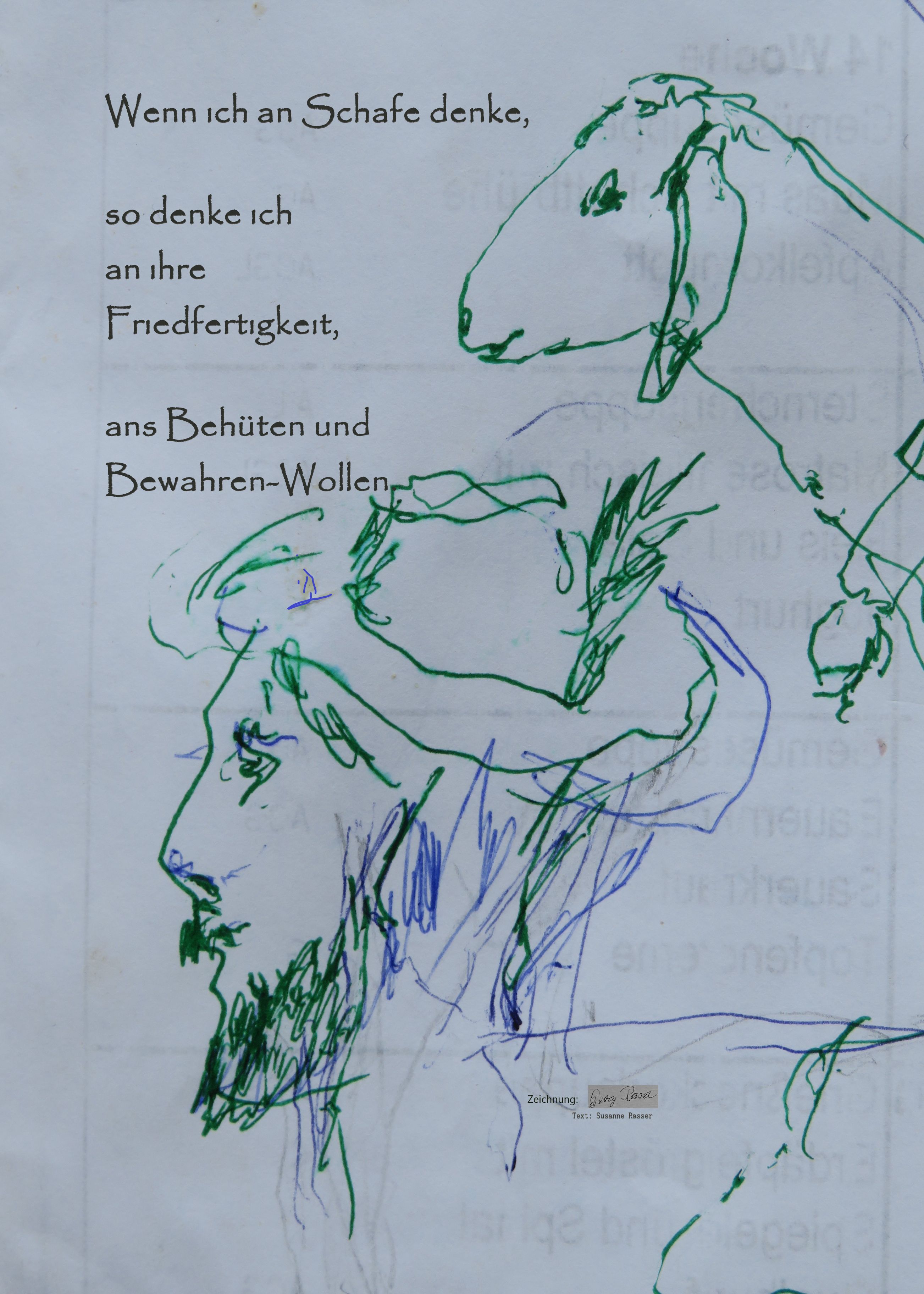Schaf Ausstellung